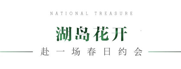 1585876640128165.jpg 洛陽(yáng)最美的春天竟藏在這里2-1.jpg